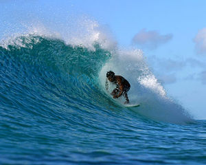Surfer
